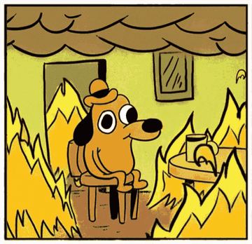 Il cane del meme "this is fine", seduto tranquillo in una stanza in fiamme